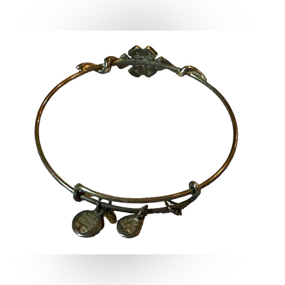 Alex and Ani Endless Knot Bangle Wrap Bracelet in Rafaelian Silver Over Copper - Picture 3 of 9